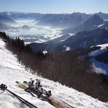 Panorama *